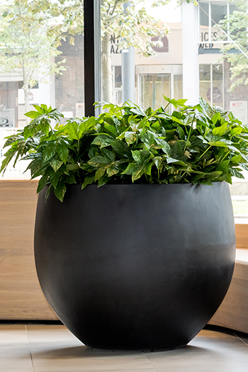 Grand forgeron tonneau jardiniere noir 50cm plante pot plastique intérieur/extérieur nouveau 
