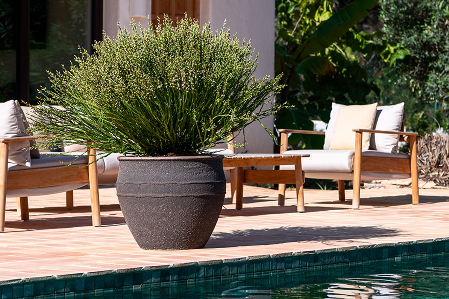 Clay pots for plants: natural look, modern quality | Pottery Pots
