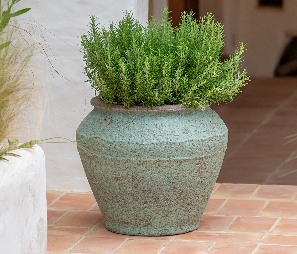 Mediterranean collection