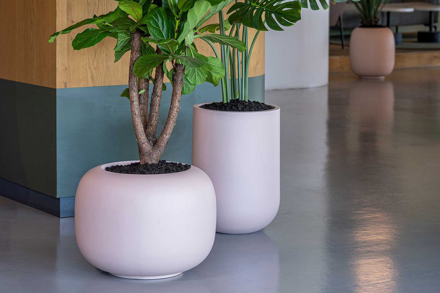 Pink flower pot: a stylish statement in any space | Pottery Pots