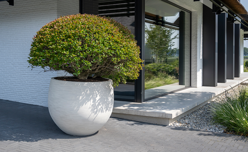 Pottery Pots' Urban planter