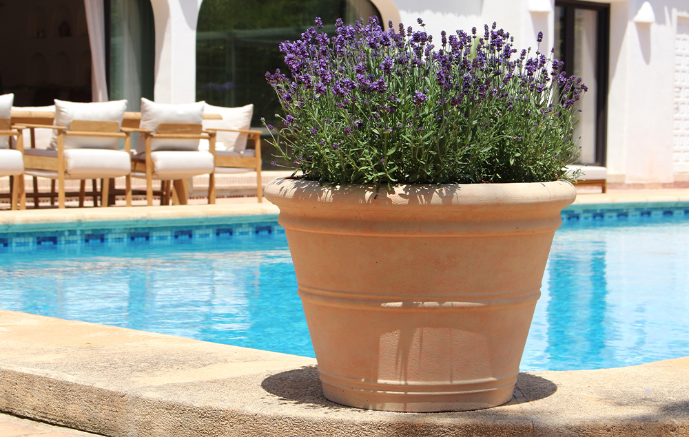 Garden trends for 2026: how to give your outdoor space character (with the right pots)