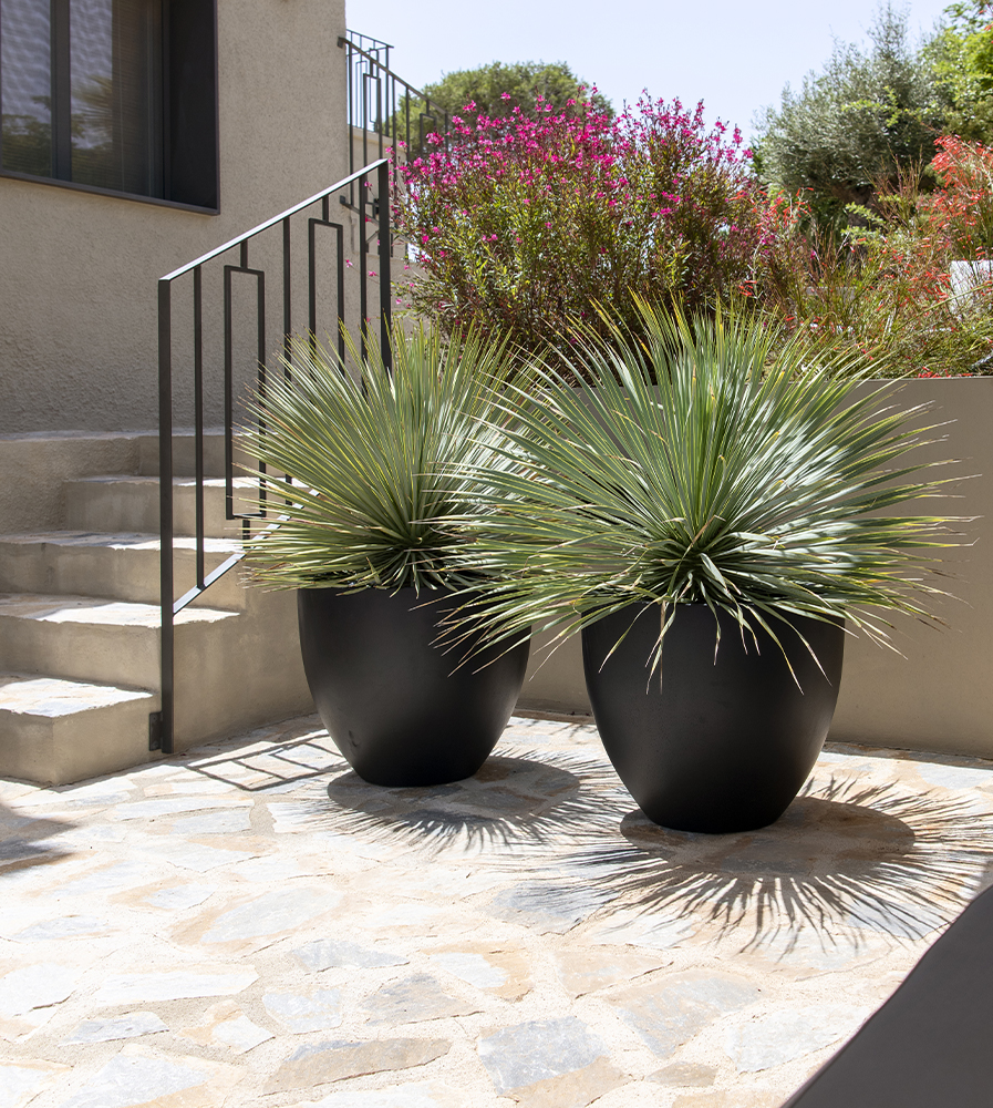 Pottery Pots' Natural planters in black