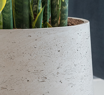 Fiberclay