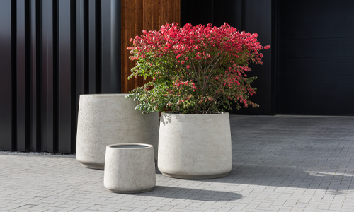 XXS to XXL: How to choose the right size pot?