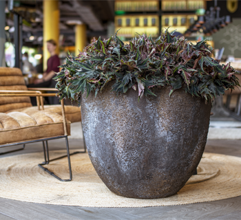 Garden trends 2023
