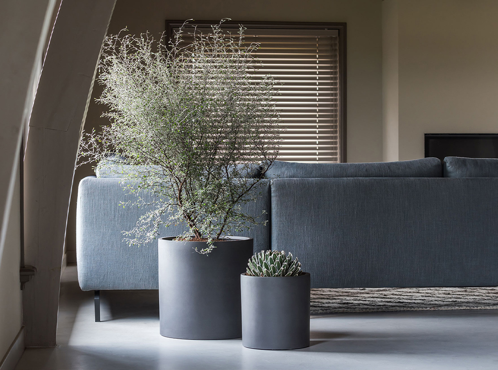 Pottery Pots Refined collection