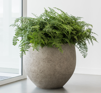 Pottery Pots Rond