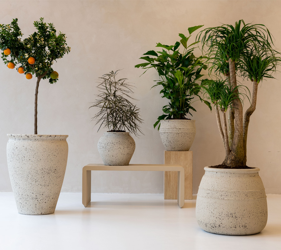 Vleien Lil Picasso Internationale groothandel in bloempotten en plantenbakken - Pottery Pots EU
