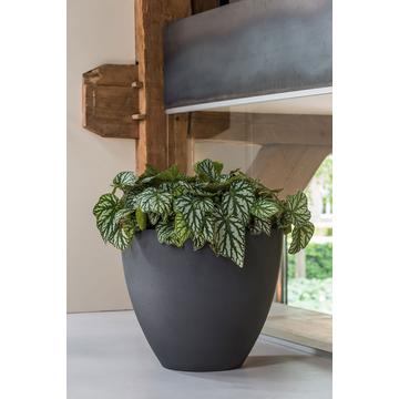 Jesslyn M, Volcano Black