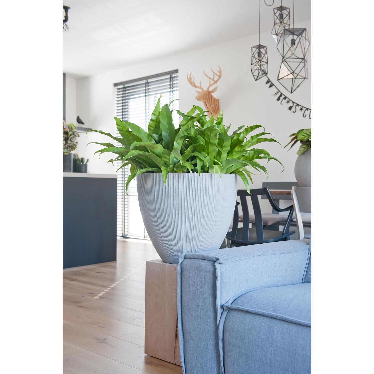 Jesslyn S, Light Grey (vert. ridg.)