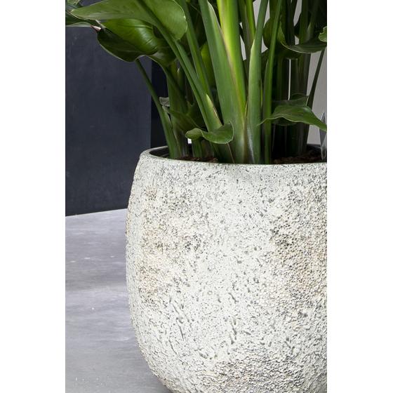 Gillard S, Imperial White