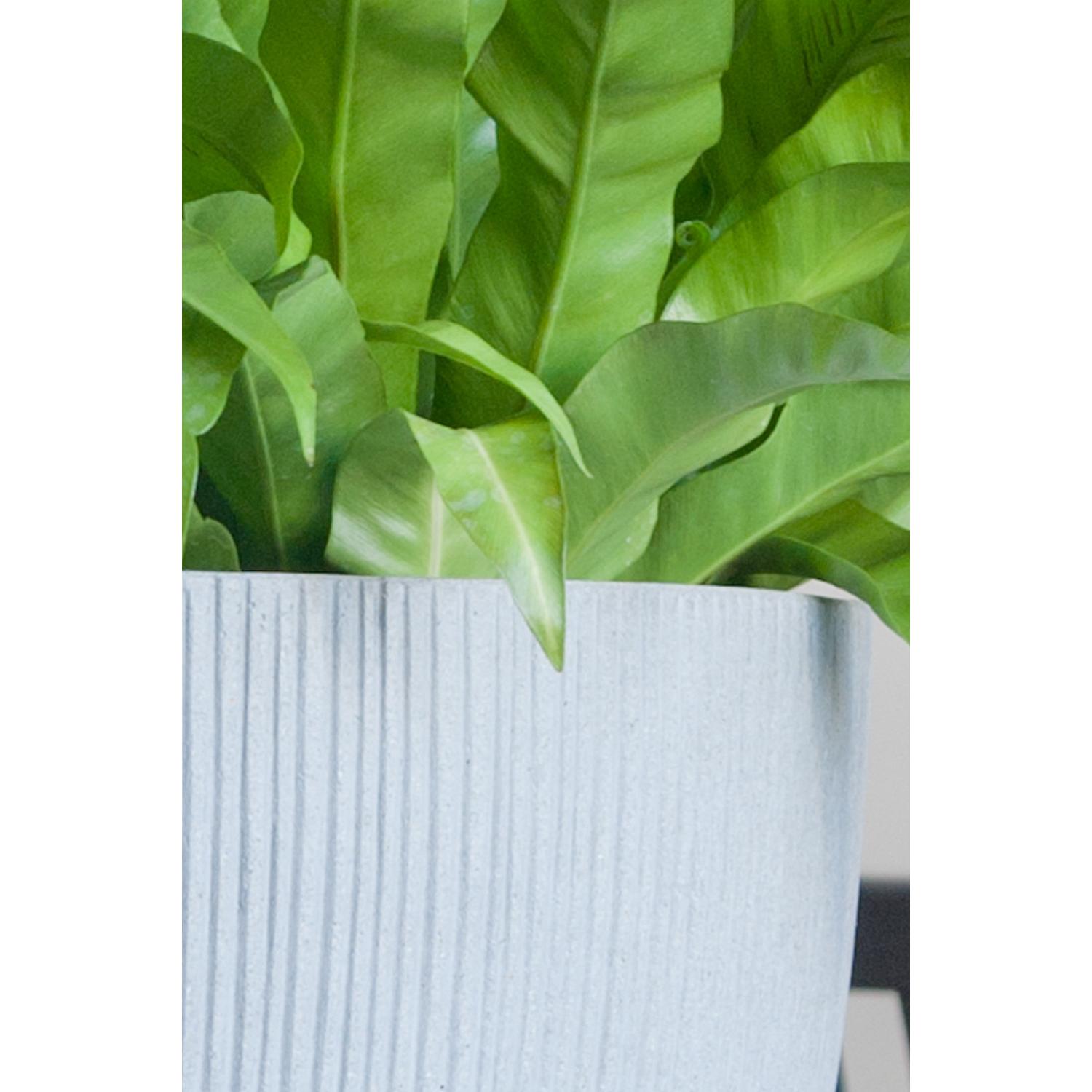 Jesslyn XS, Light Grey (vert. ridg)