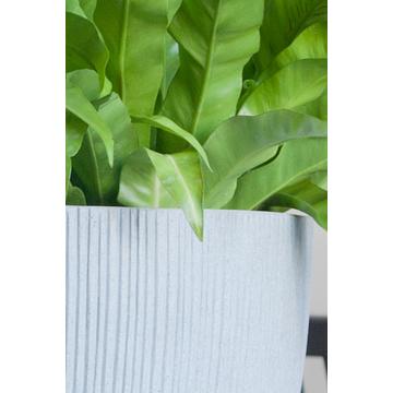 Jesslyn XS, Light Grey (vert. ridg)