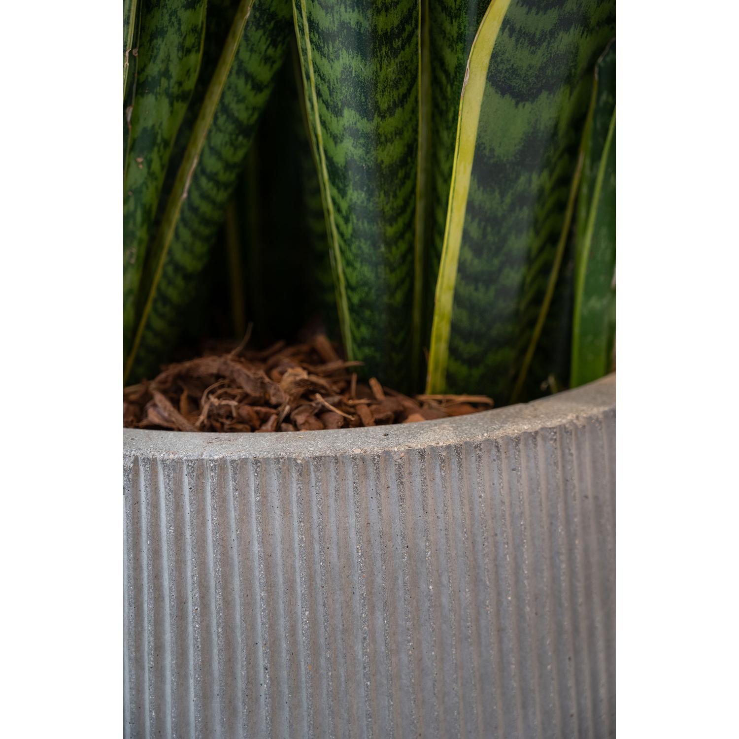 Pax M, Dark Grey (vert. ridg.)