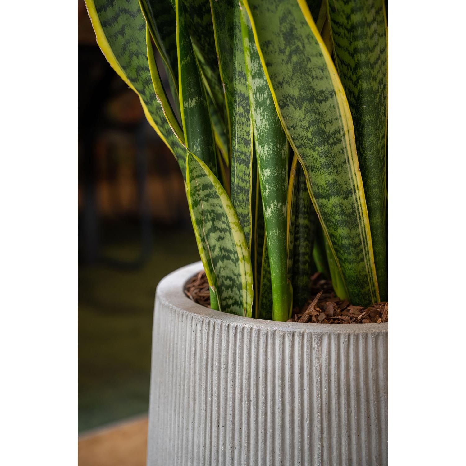 Pax L, Dark Grey (vert. ridg.)