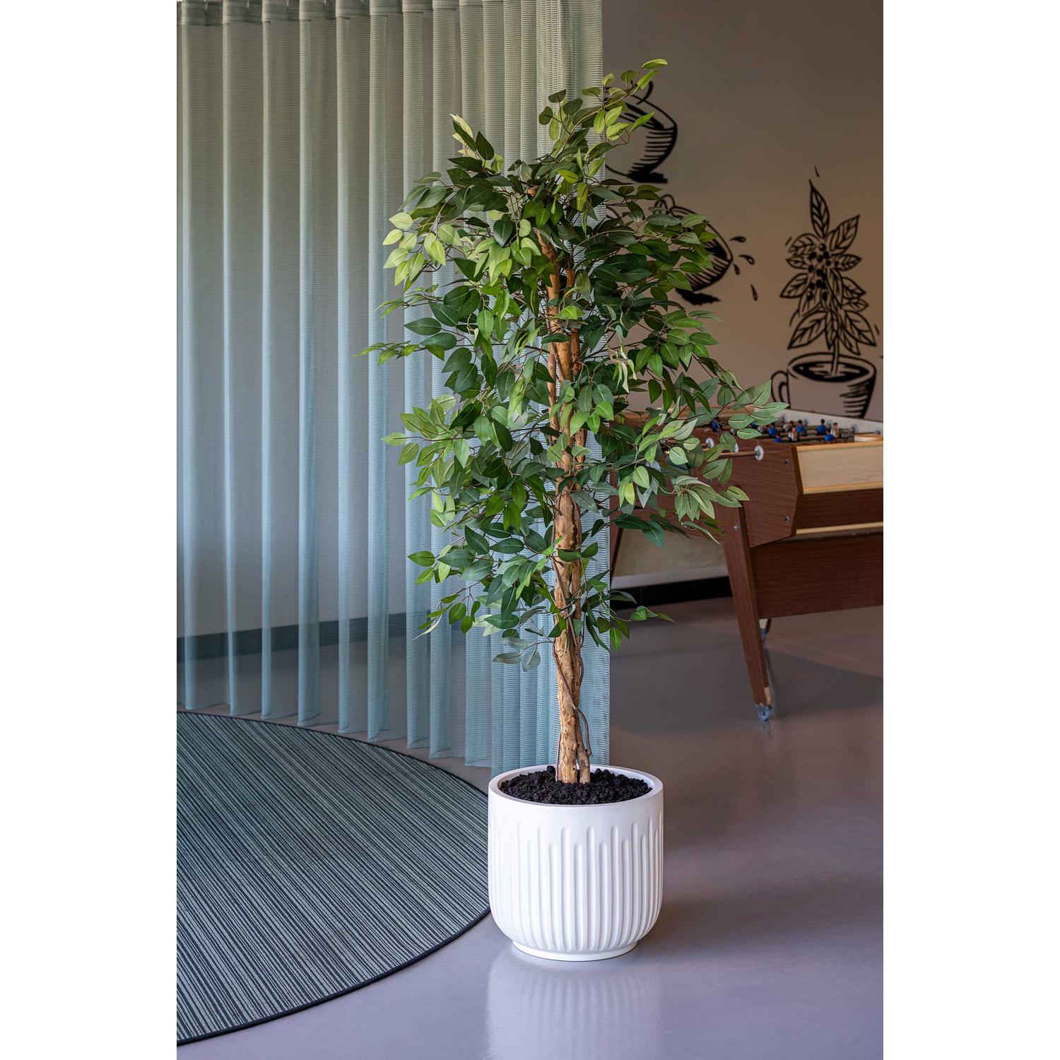 Arcus S, Silk White