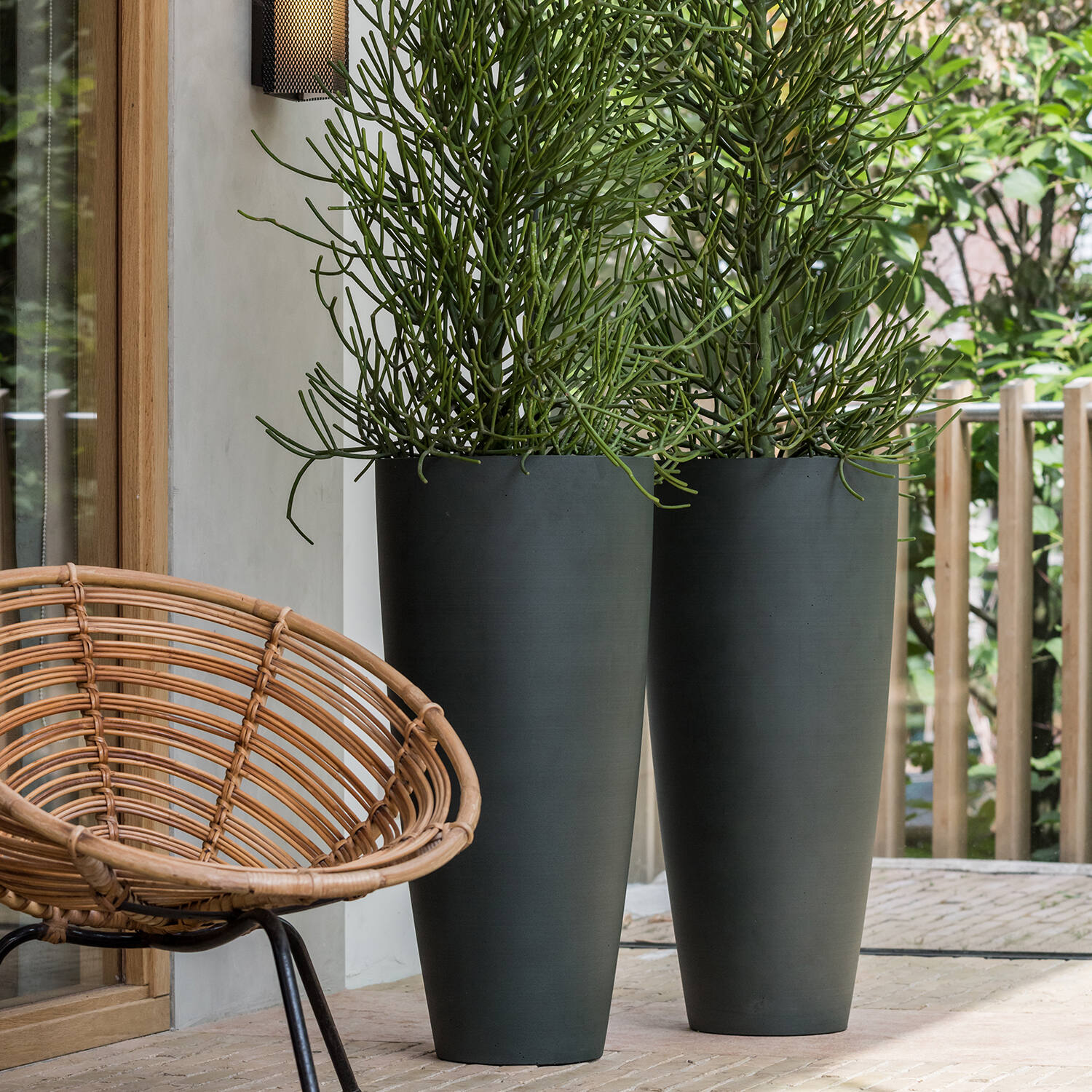 Dax XL, Pine Green