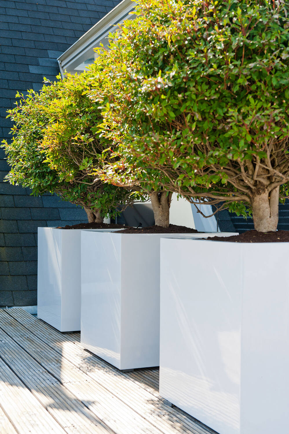 Block S, Glossy White