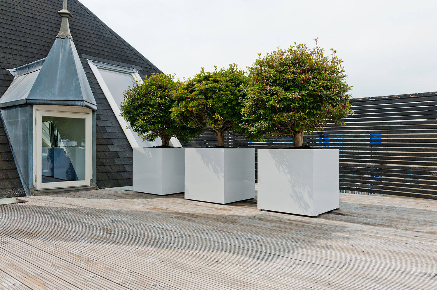 Block S, Glossy White