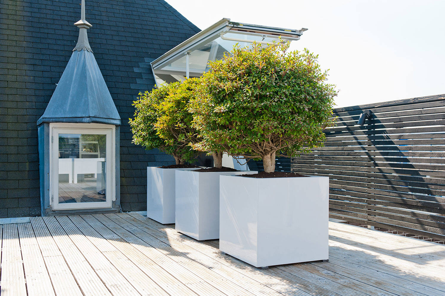 Block M, Glossy White