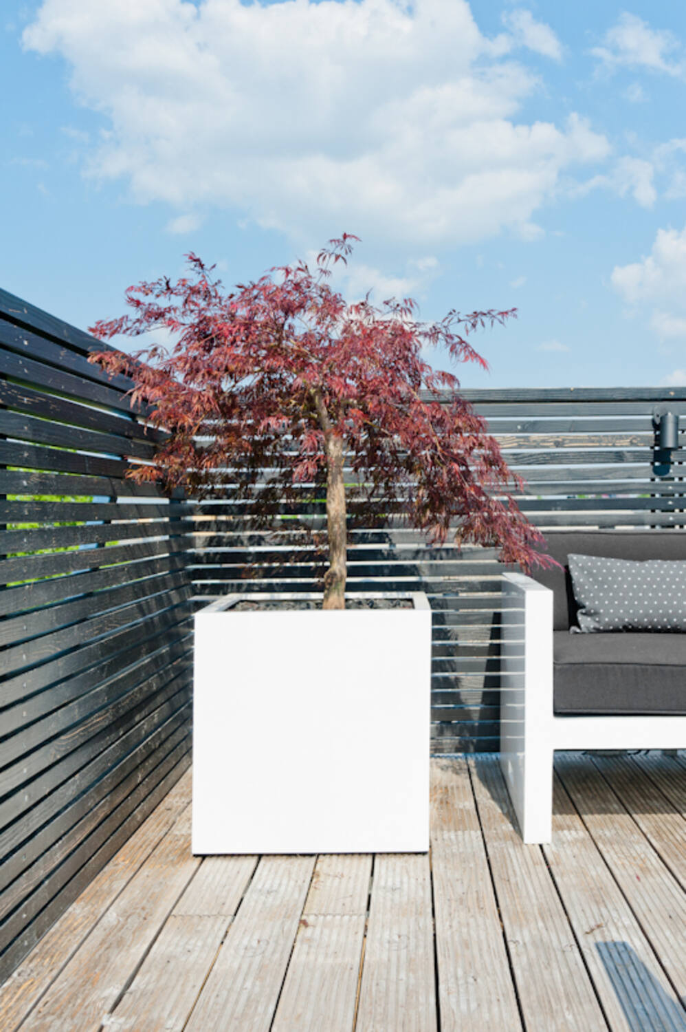 Block L, Glossy White
