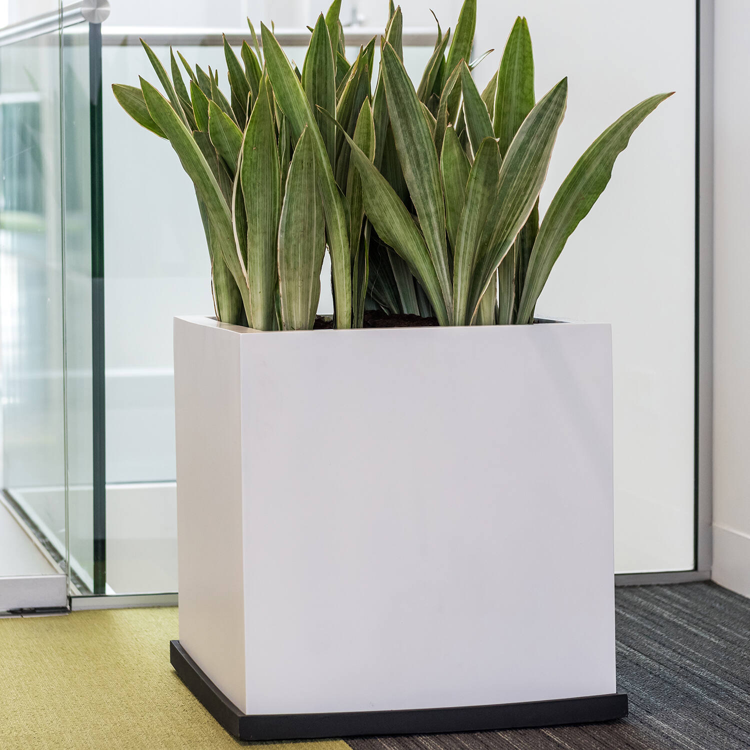 Block XL, Matte White