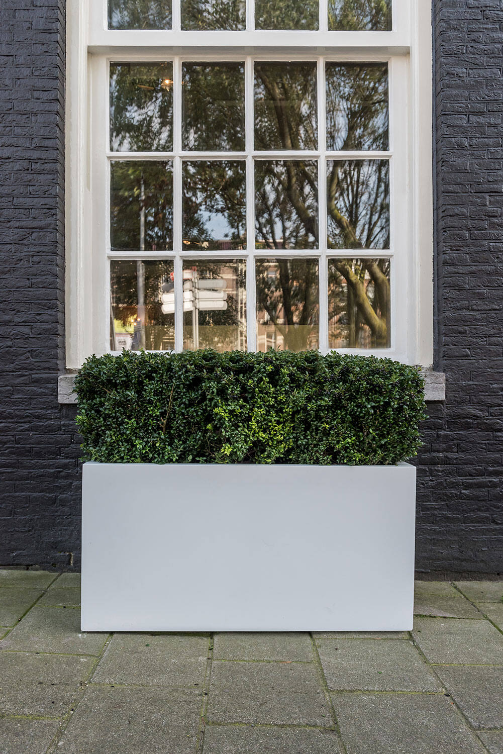 Jort L, Glossy White