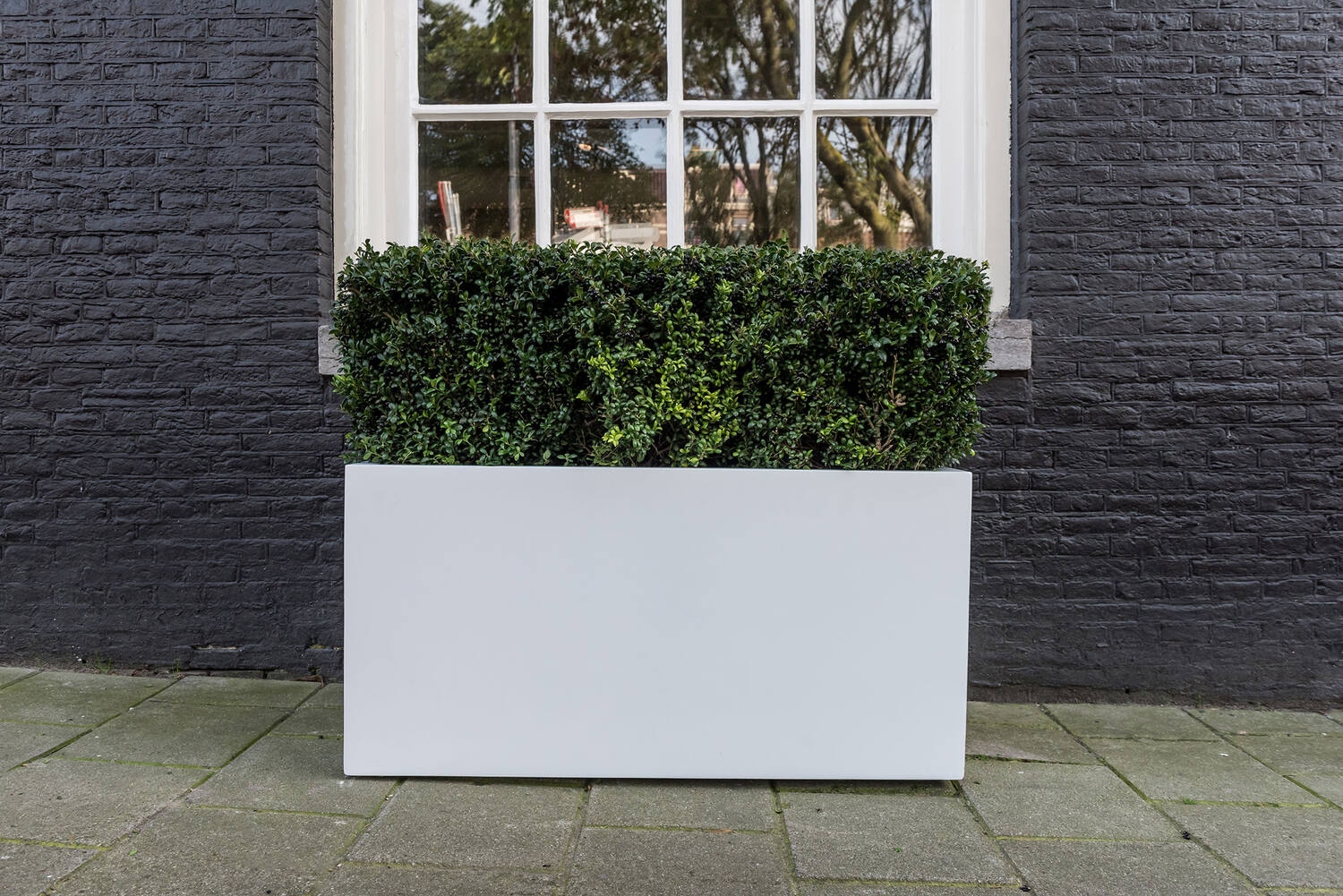 Jort L, Glossy White