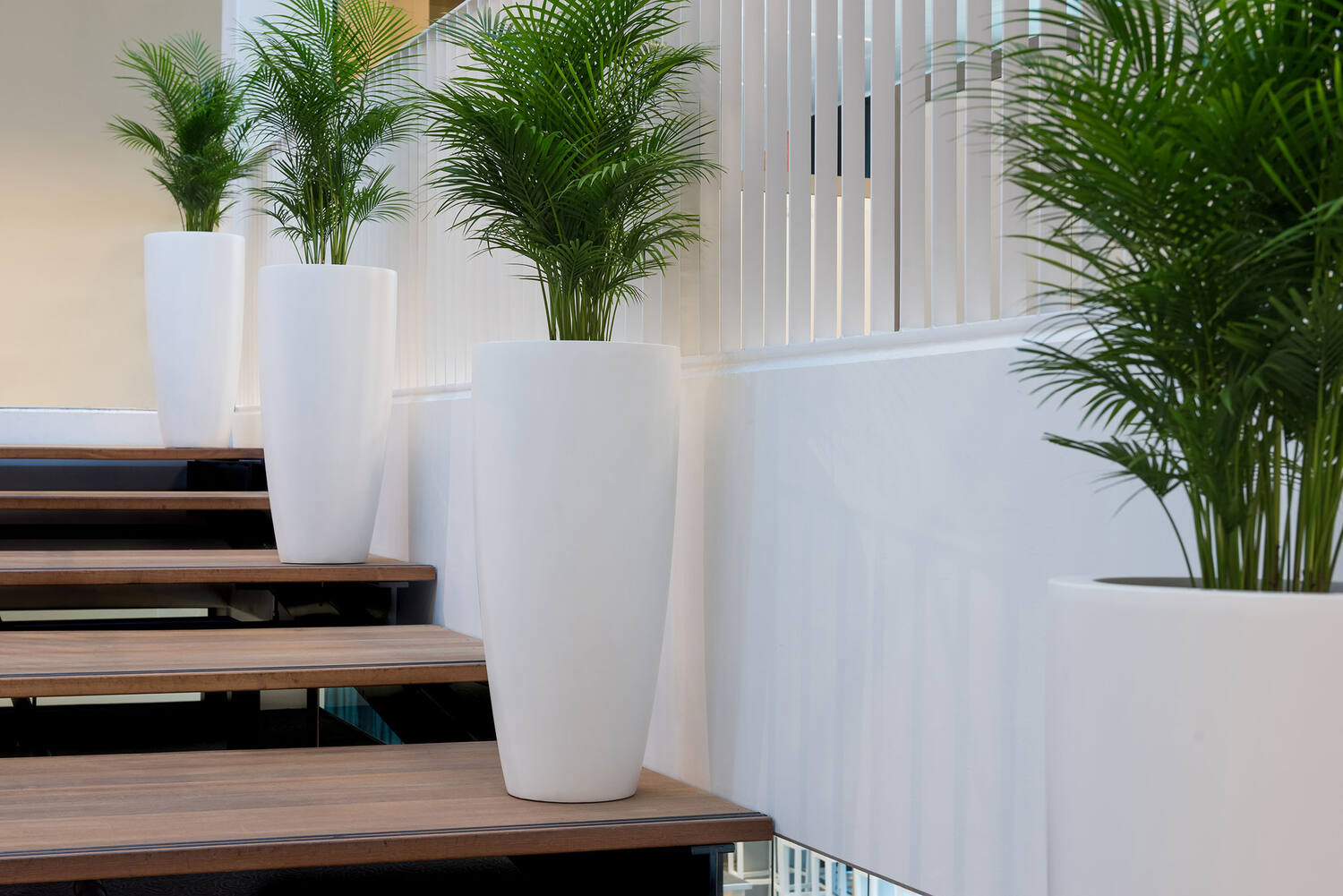 Dax XL, Matte White