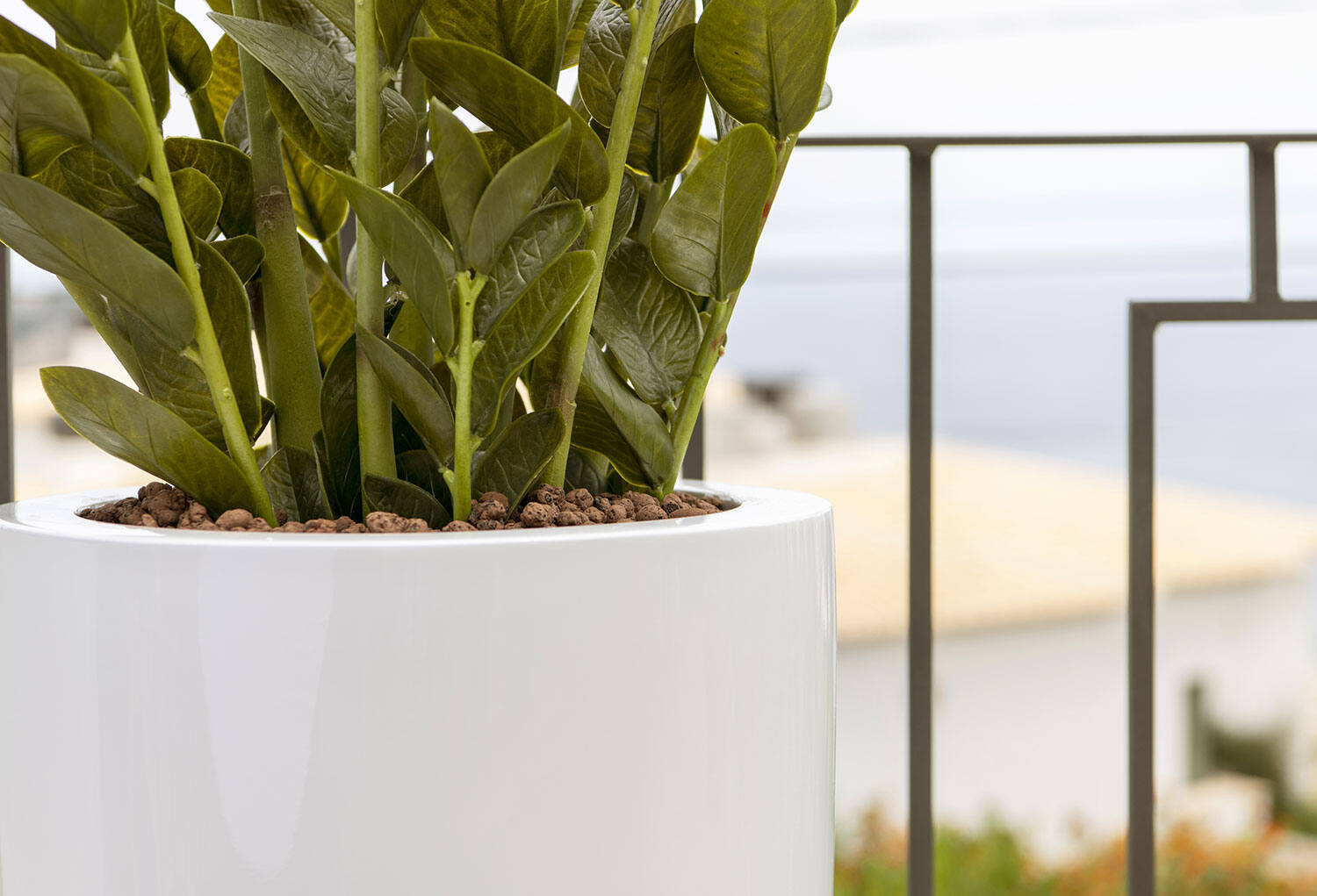 Dax L, Glossy White