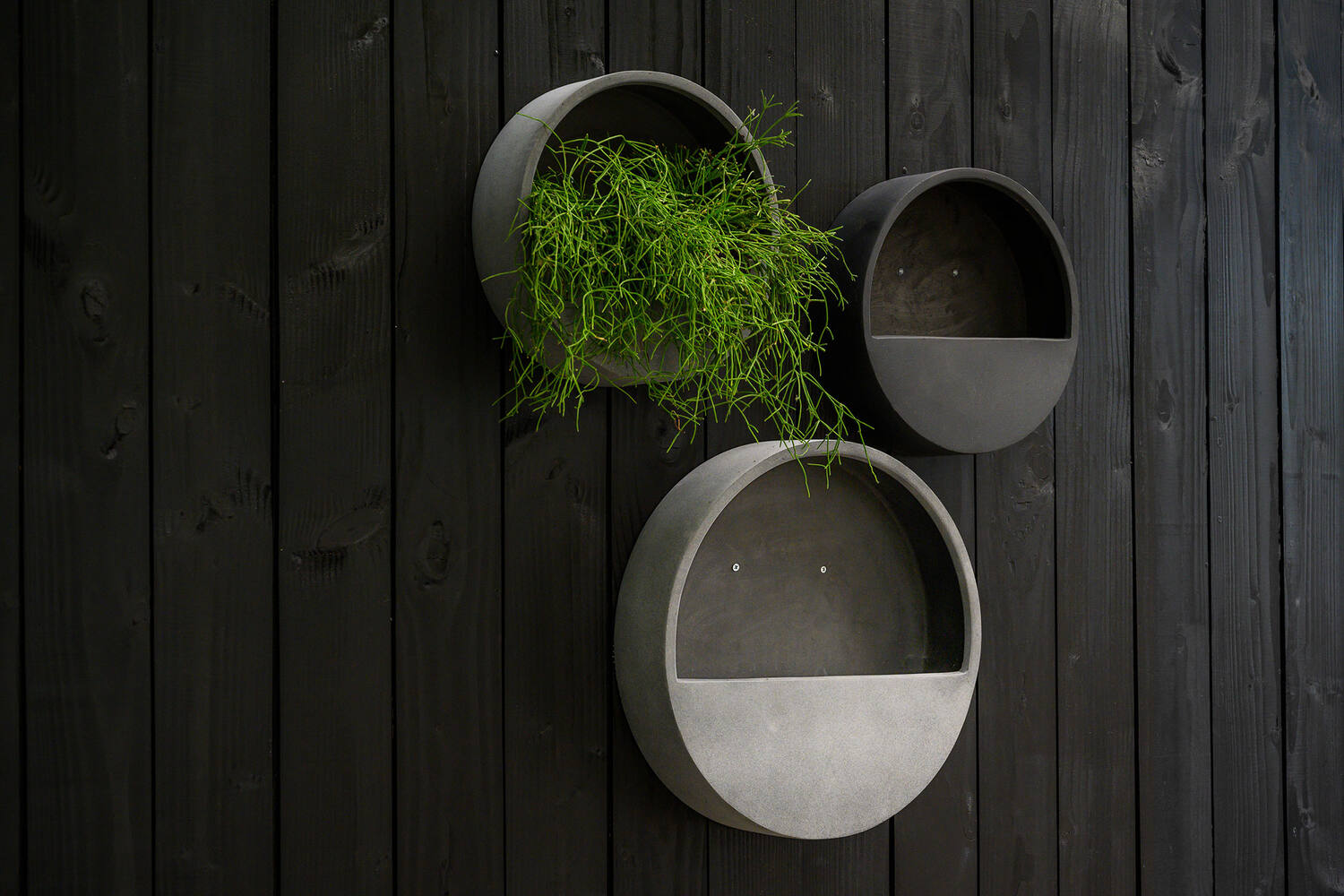 Wally (hanging) M, Black