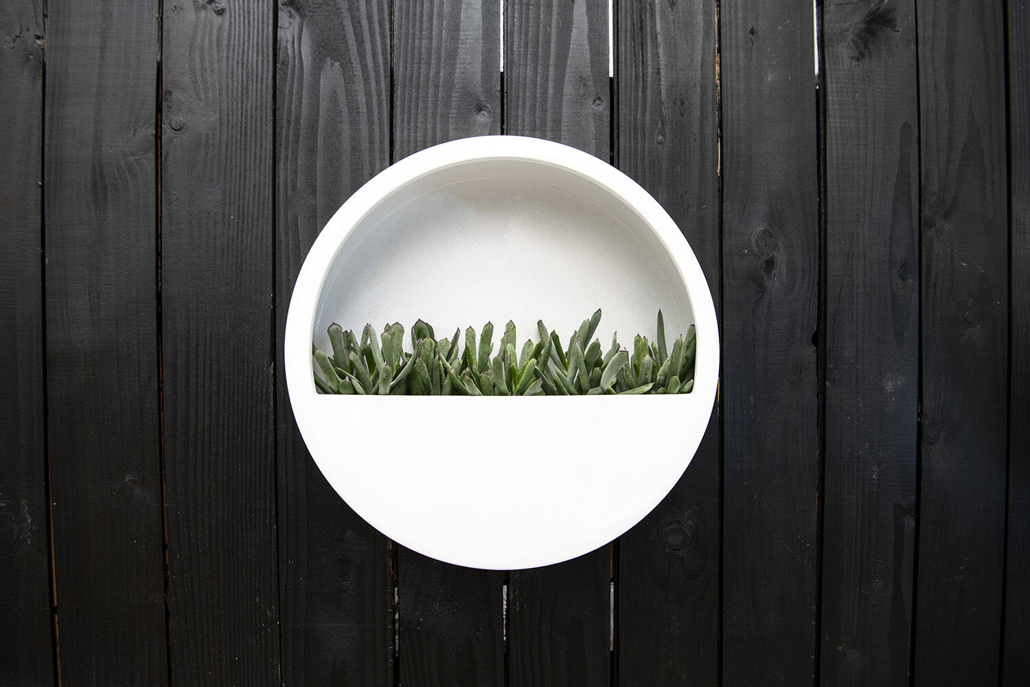 Wally (hanging) M, Glossy White