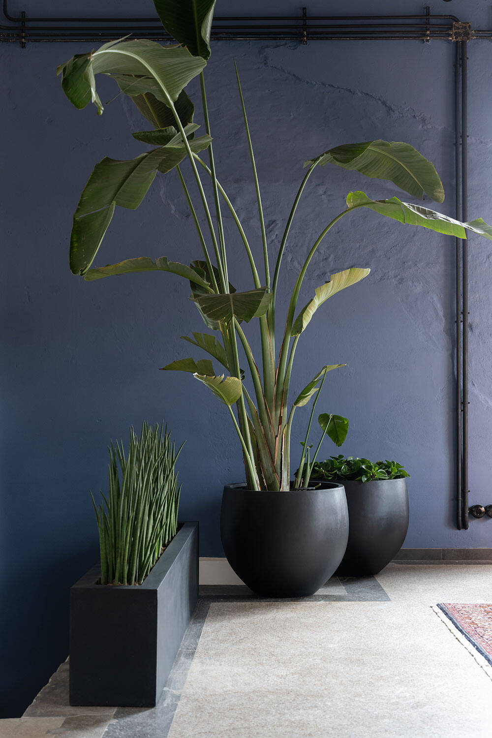 Orb L, Black