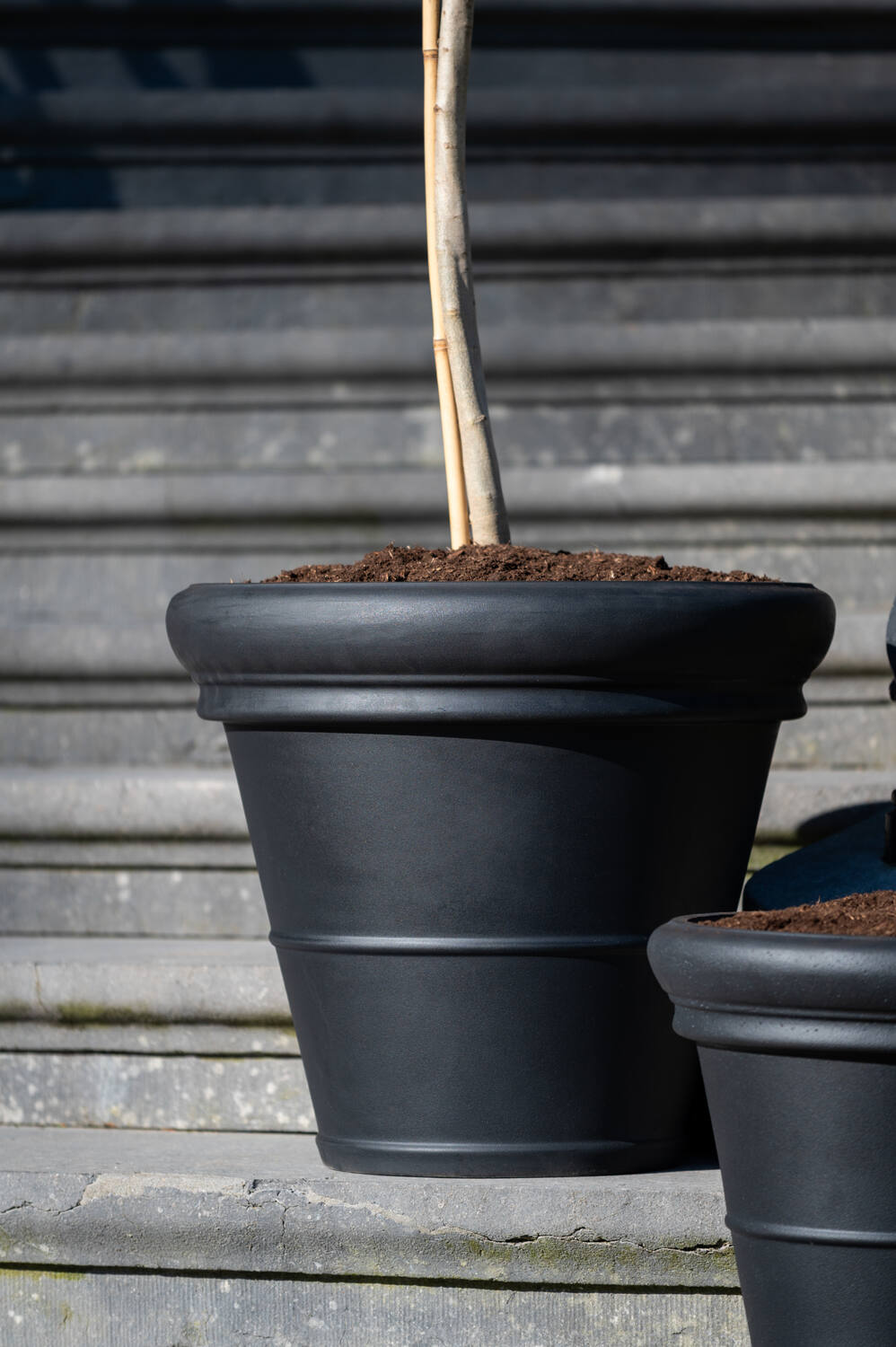 Bucket Low Classic M, Black