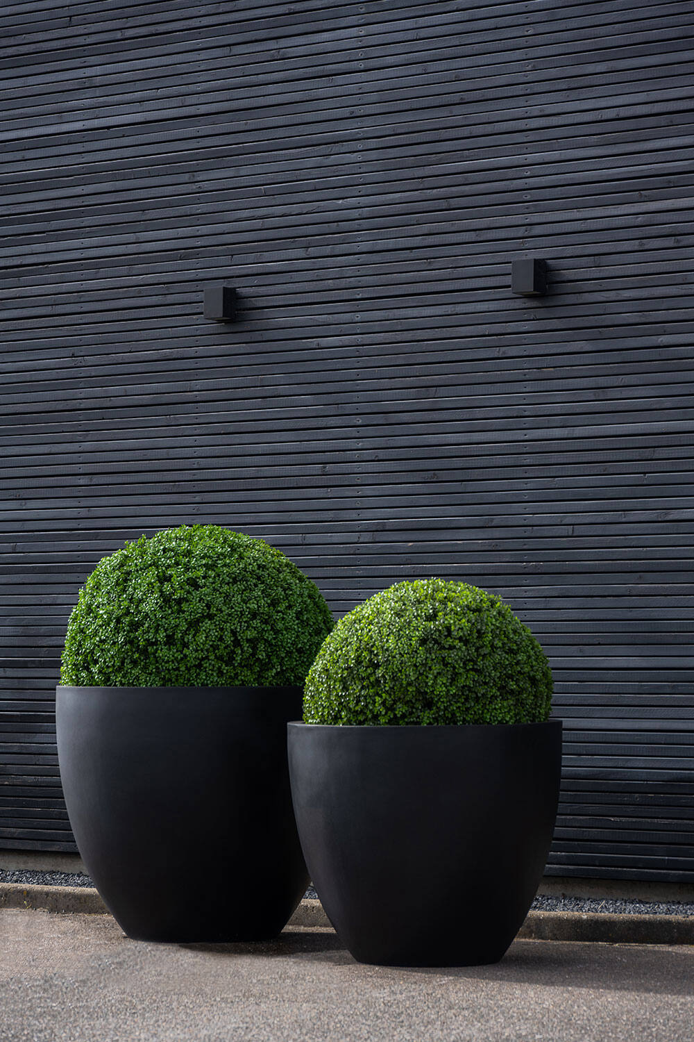 Boxwood XS, Green