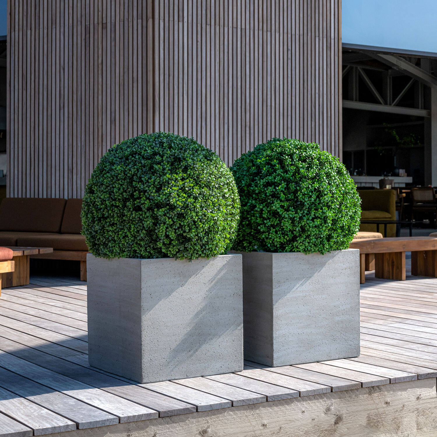 Boxwood Round S, Green