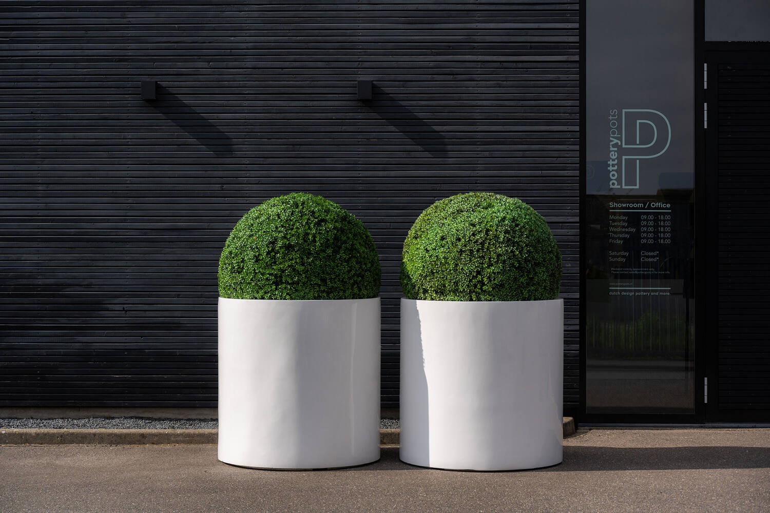 Boxwood Round S, Green