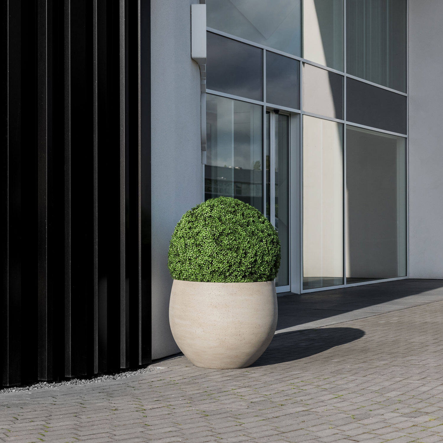Boxwood Round M, Green