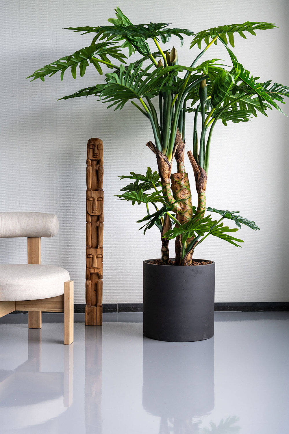 Philodendron L, Green