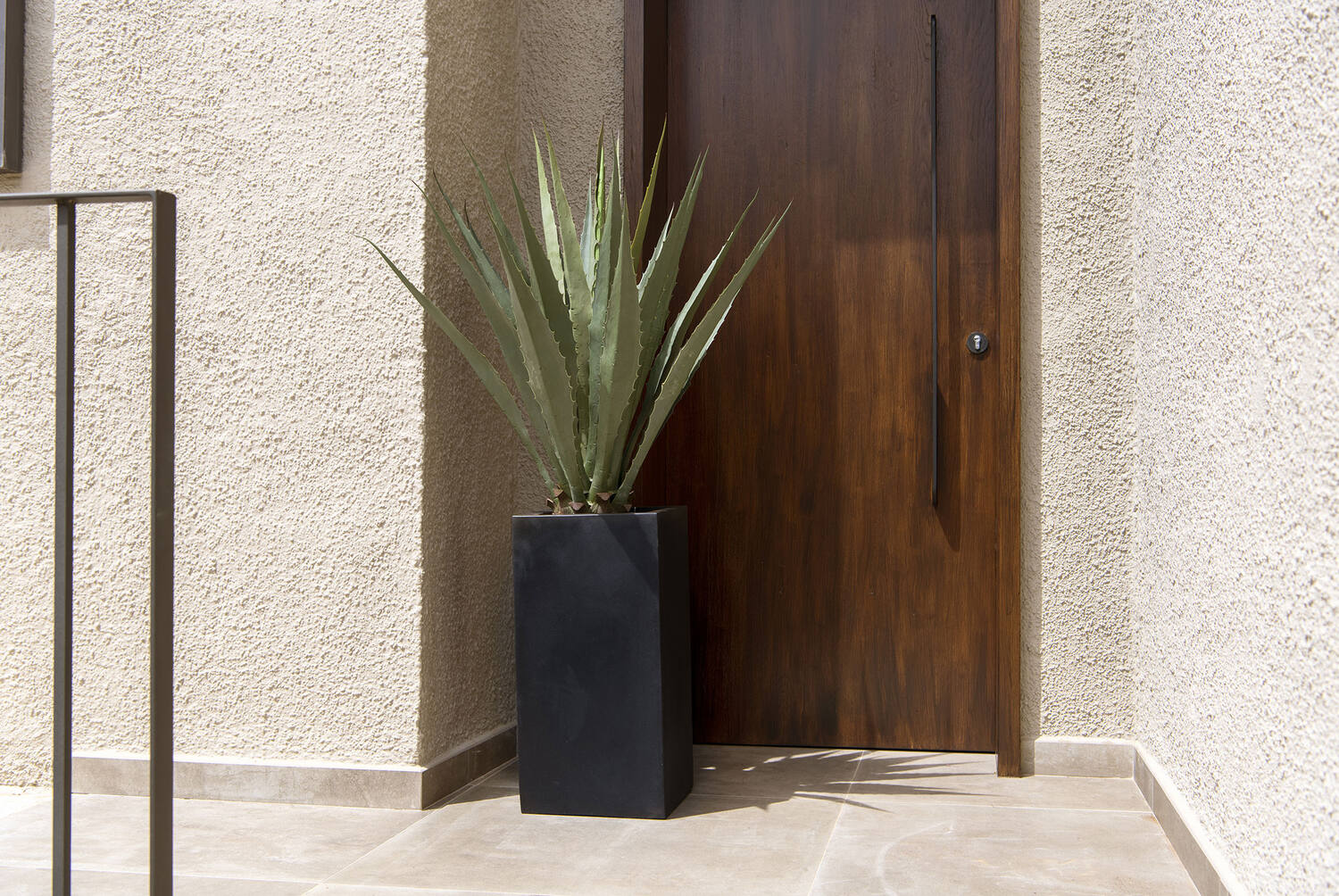 Agave L, Green