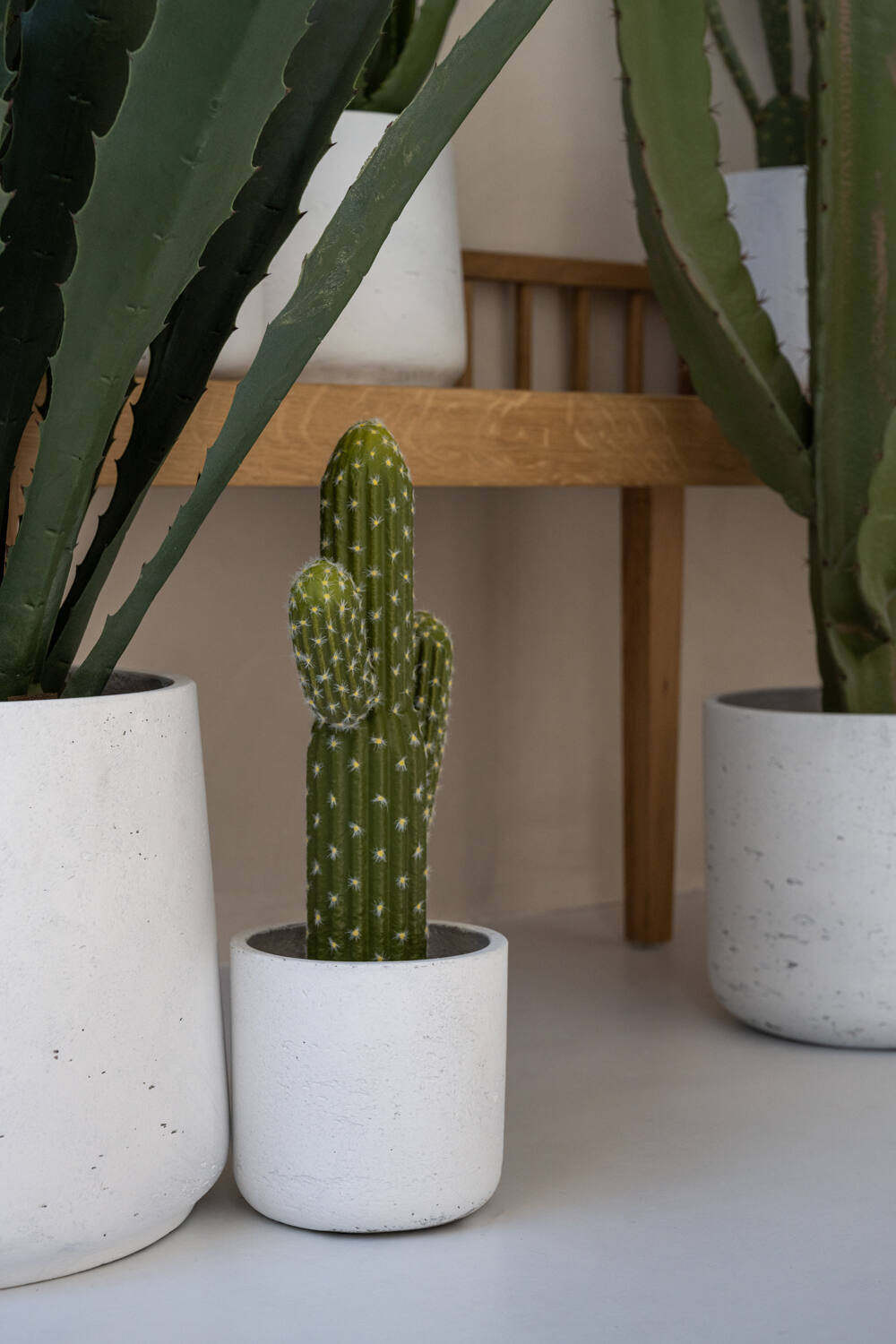 Cactus Saguaro S, Green