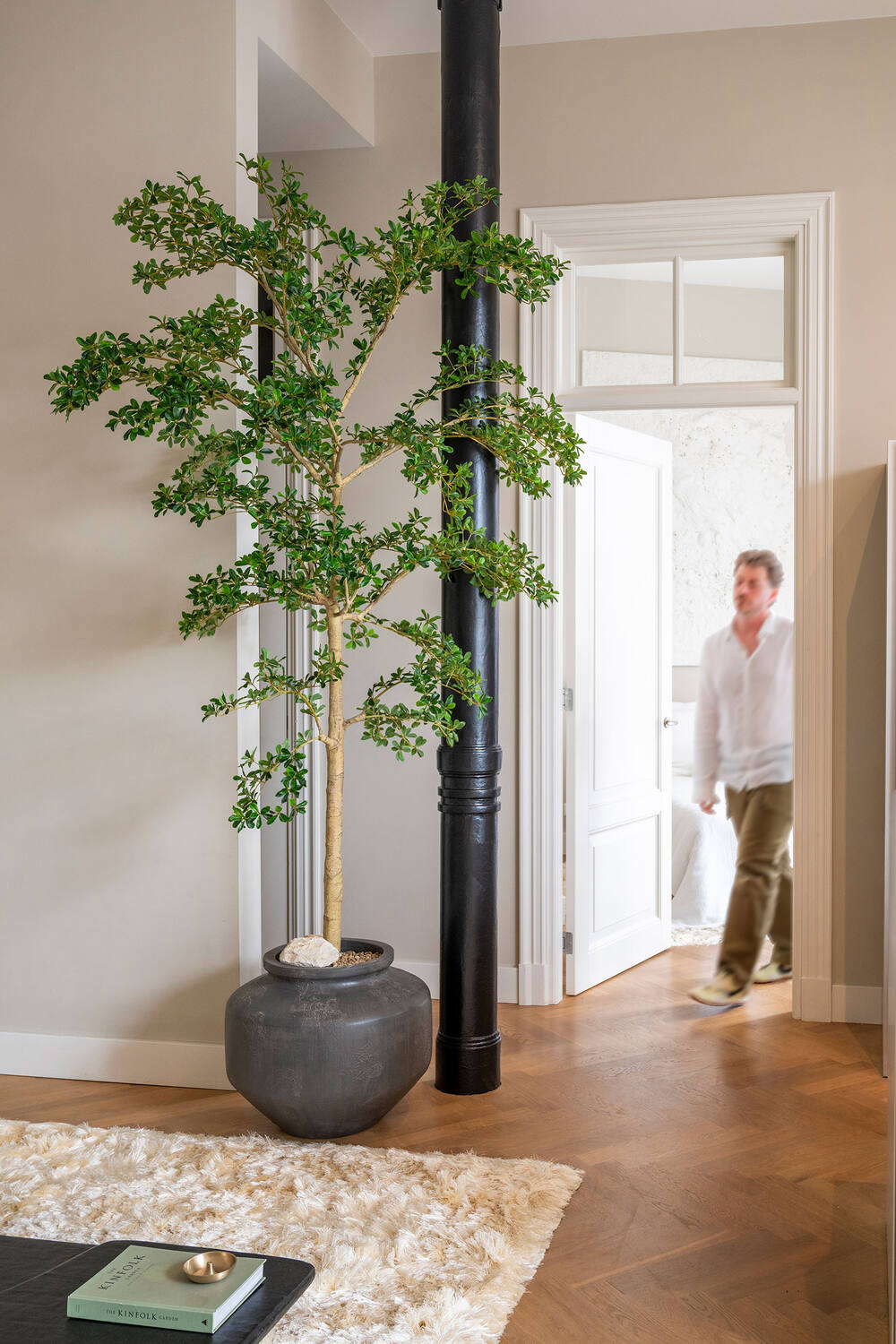 Buchida Buceras Shady Lady Tree XL, Green