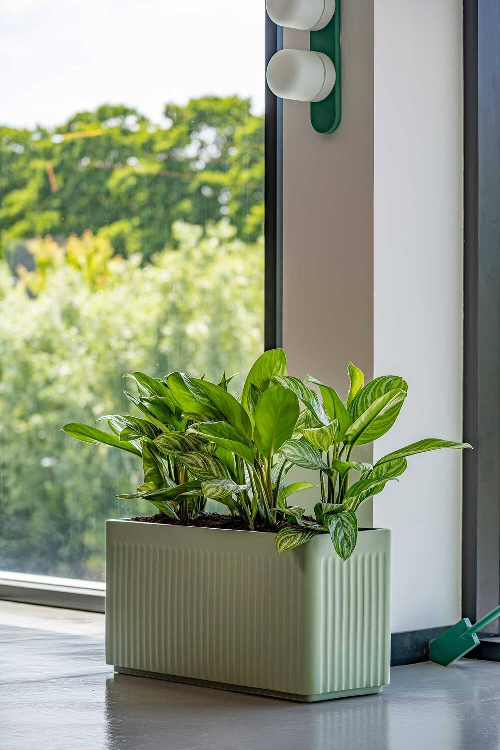 Jort Linea M, Sage Green