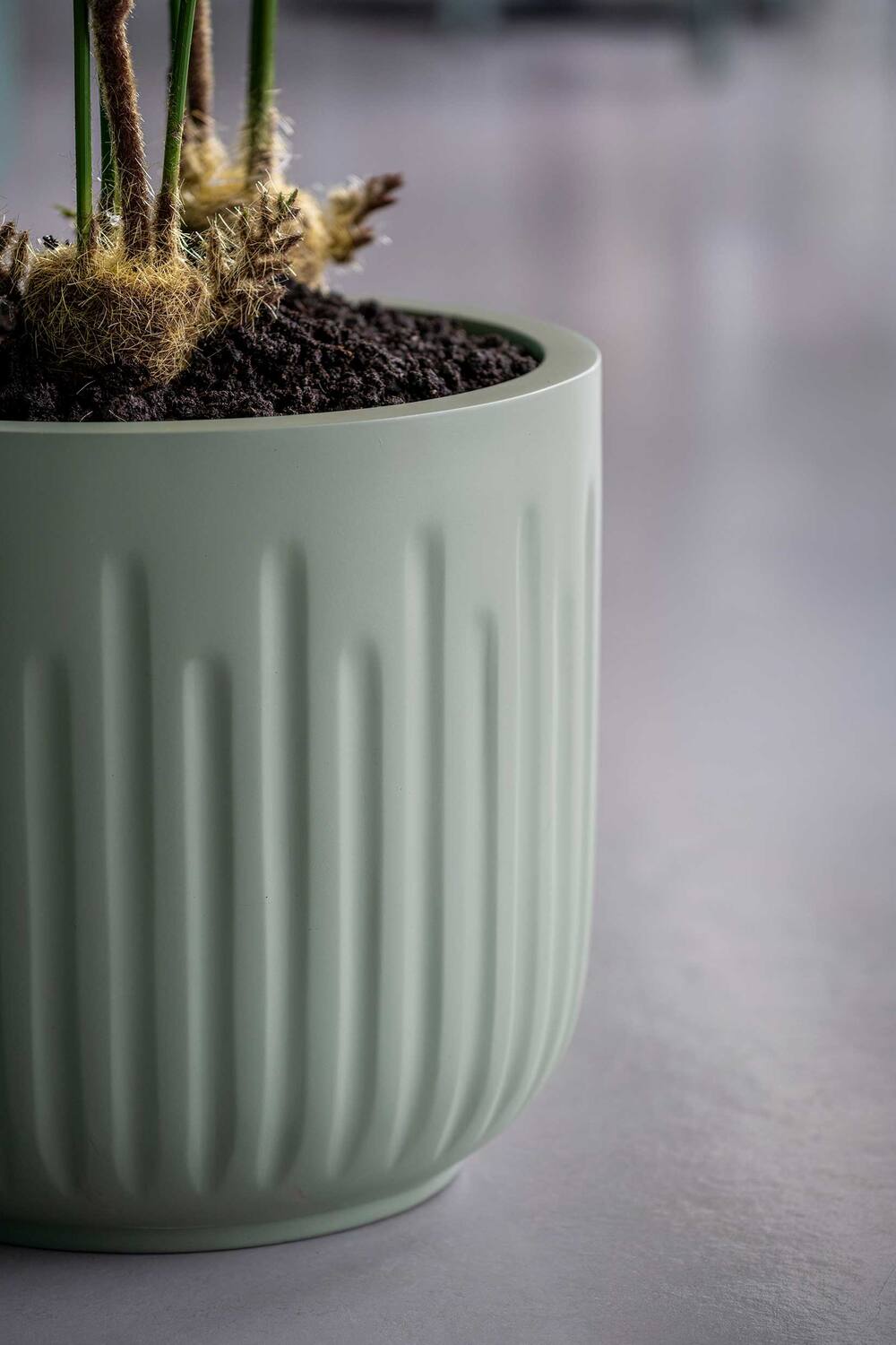 Arcus S, Sage Green