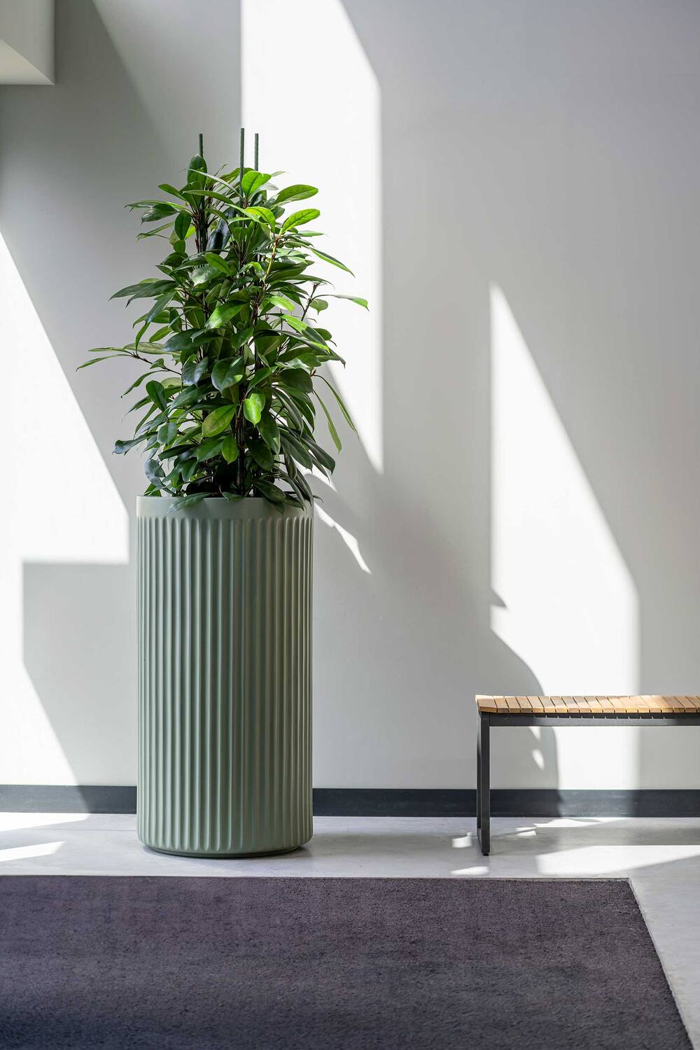 Turris XL, Sage Green