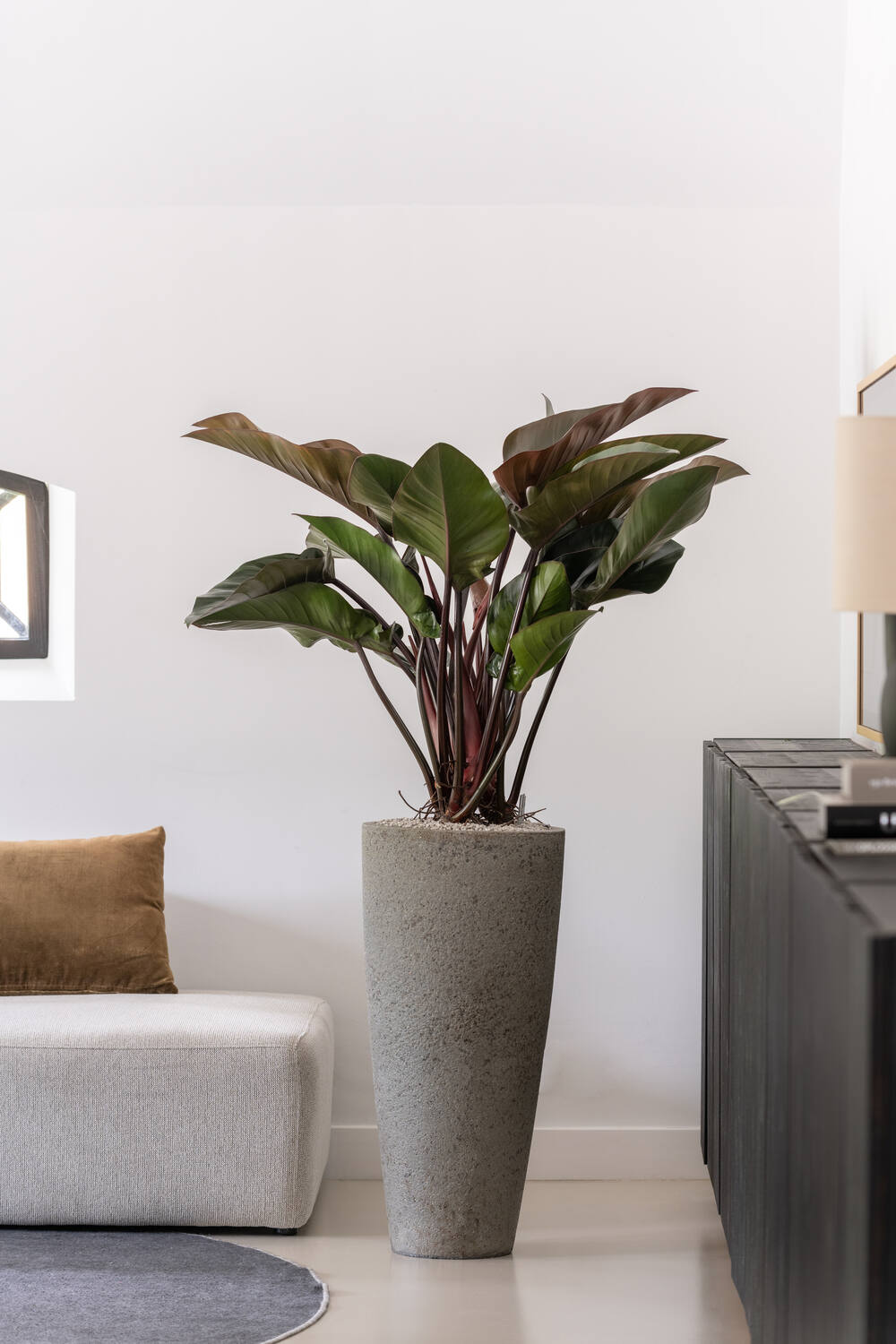 Dax L, Diorite Grey