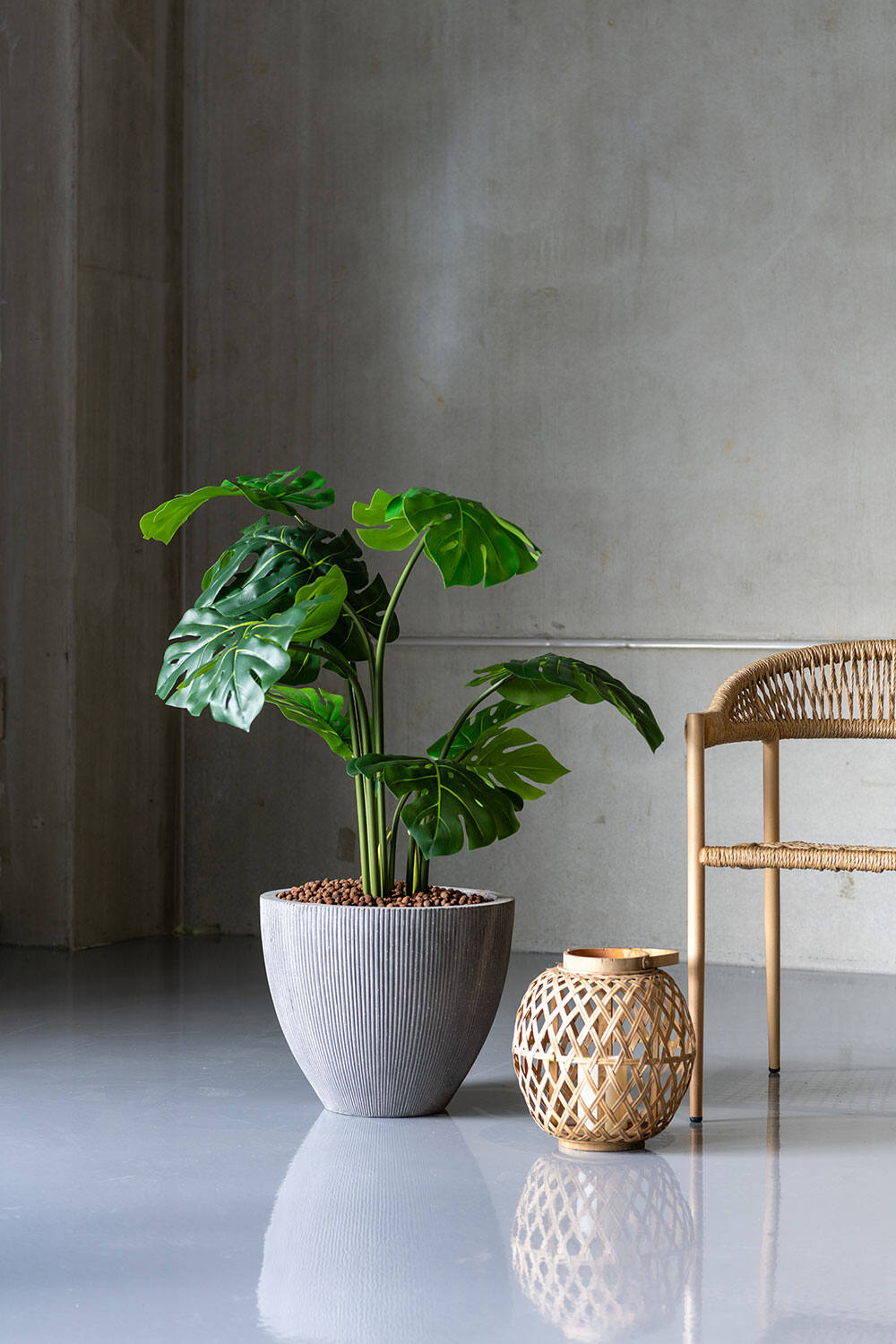 Jesslyn XS, Dark Grey (vert. ridg.)