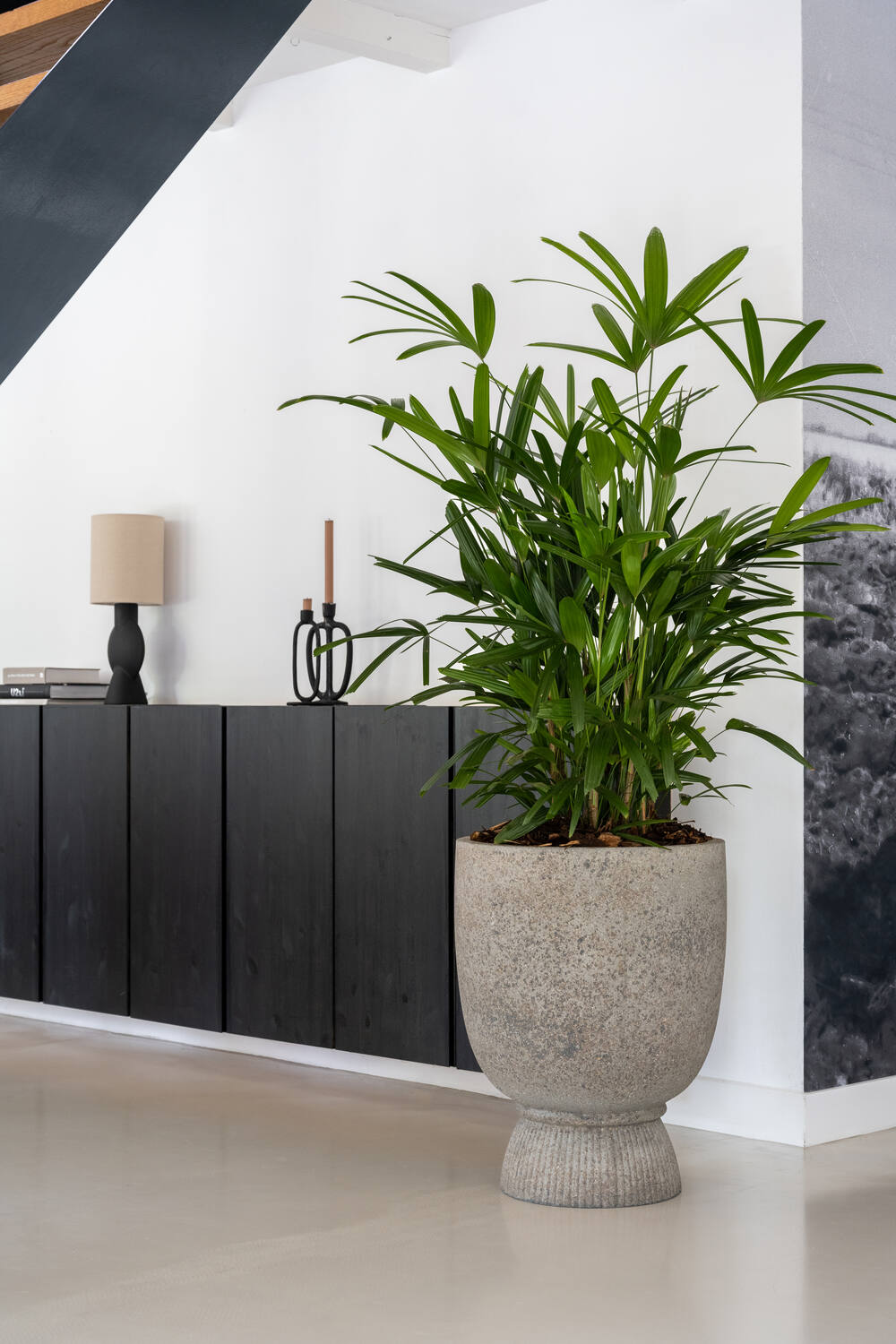 Jola High L, Diorite Grey
