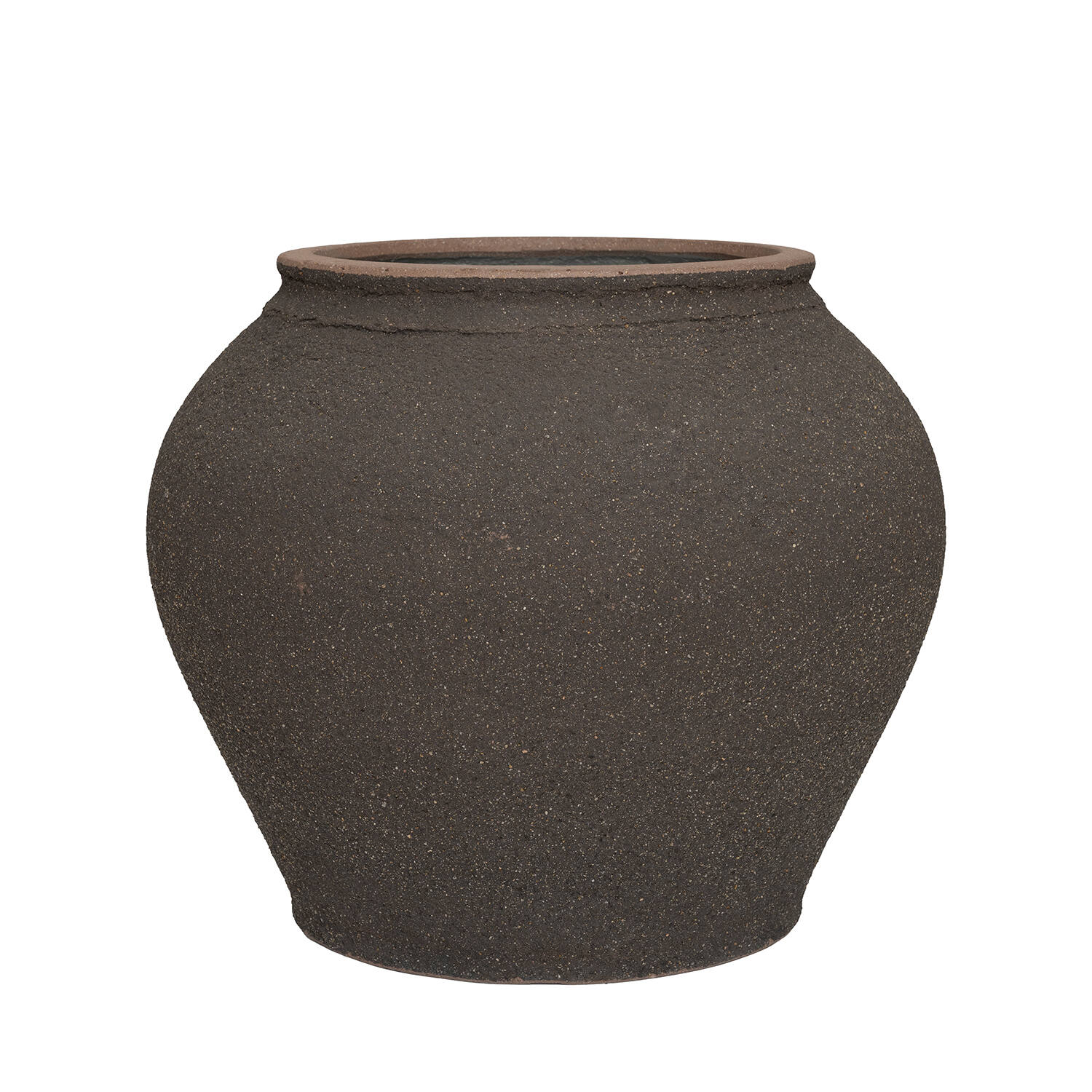 Zeus L, Umber Brown